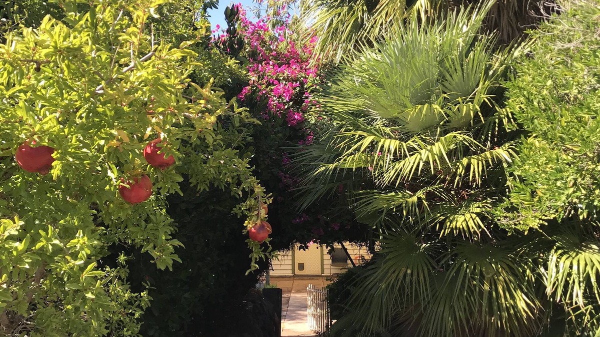 Broken Hill House | Welcome to Shazza’s