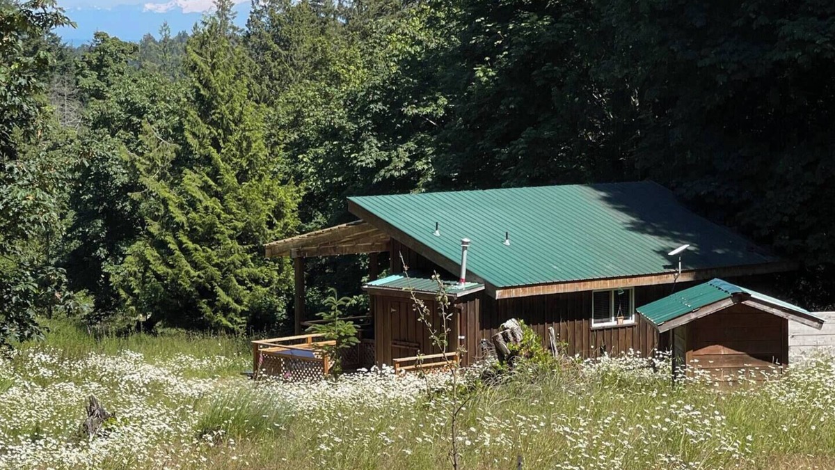 Sturdies Bay Cottage | Welcome to the Meadowverse, your peaceful retreat