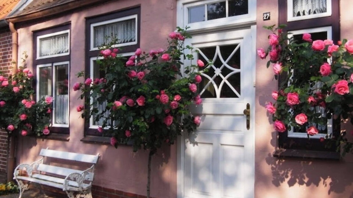 Friedrichstadt House | * Welcome to the Dutch town of Friedrichstadt*