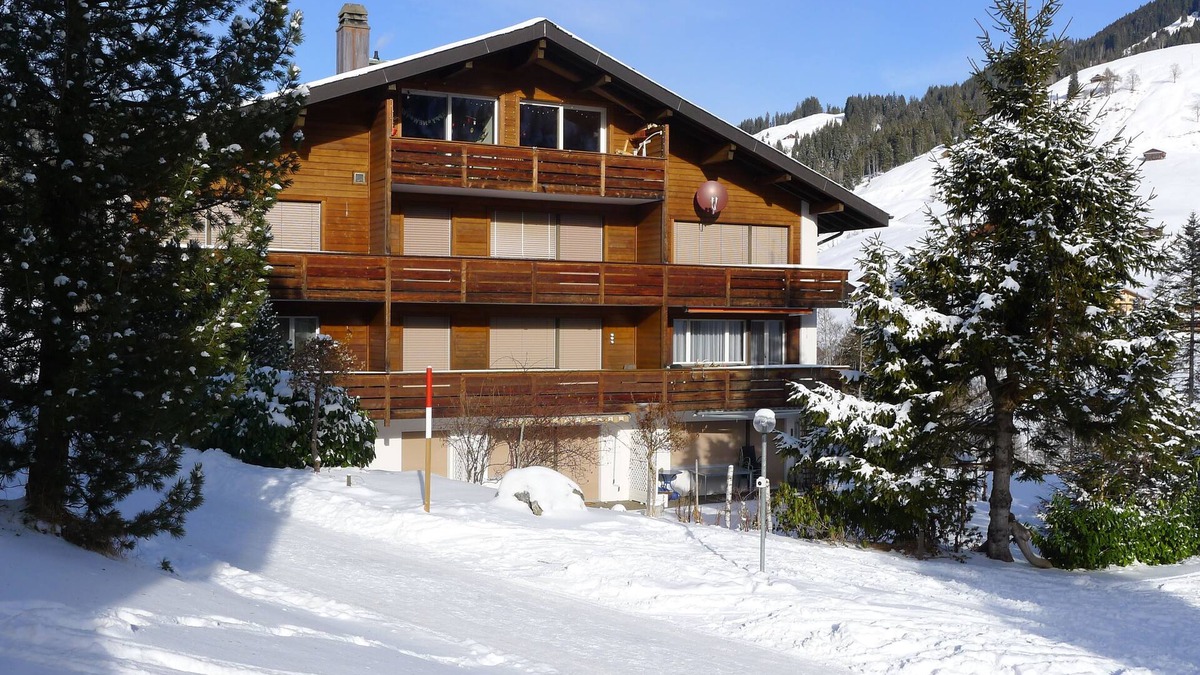 Ruedisbach Apartment | Well-kept apartment in the Swiss mountains (whether Interlaken)