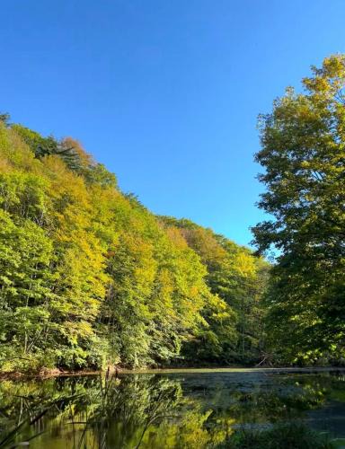 Kitashiobara Villa | WEND URABANDAI -the private villa-
