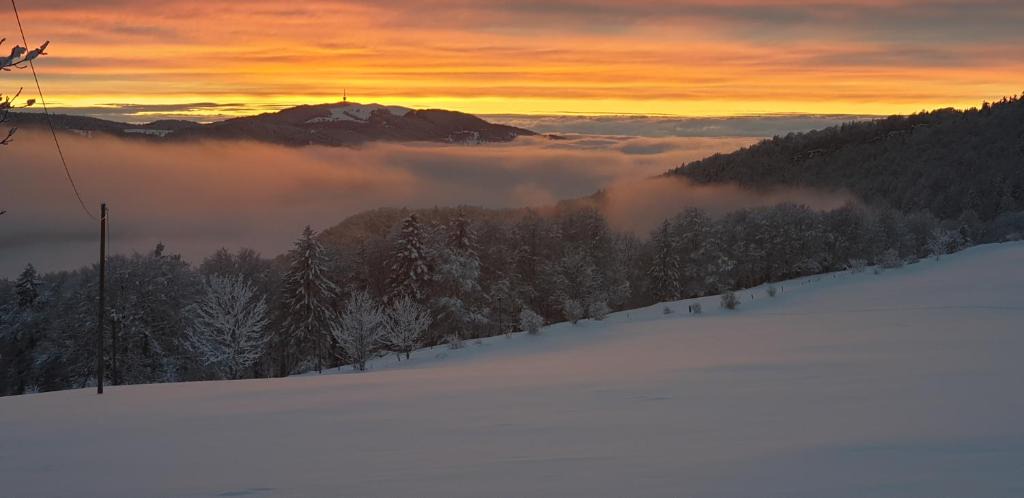 Valbirse Hotel | Werdtberg