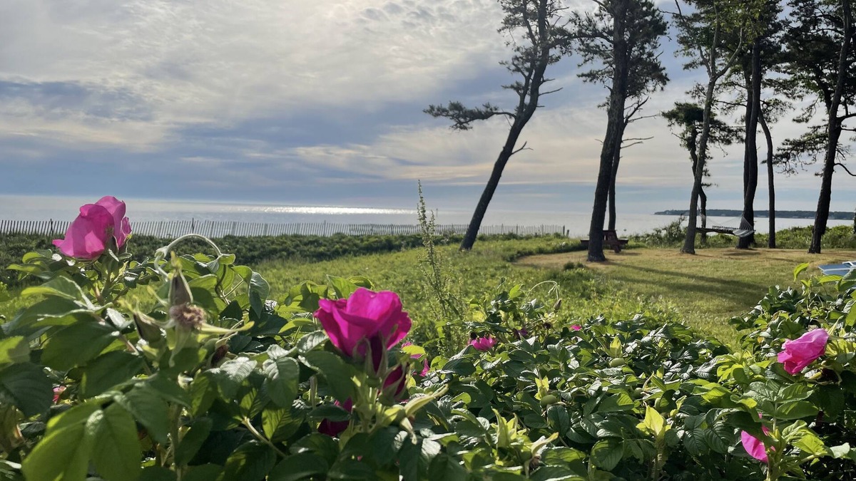 West Chop House | West Chop Sandy Beach, Water Front, 6 BR, Great Views!