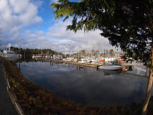Ucluelet Hotel | West Coast Motel on the Harbour