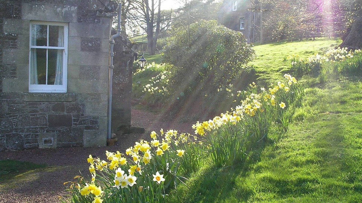 Biggar Cottage | West Twin, Carmichael Country Cottages. Ideal family cottage close to deer park. Pets welcome.