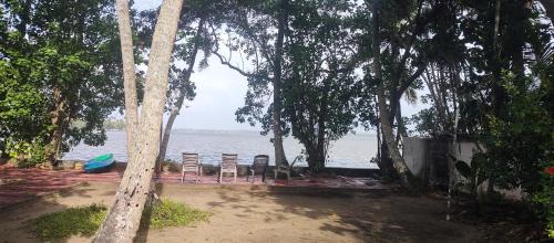 Kumbalangi House | West Wind Homez - Home Stay