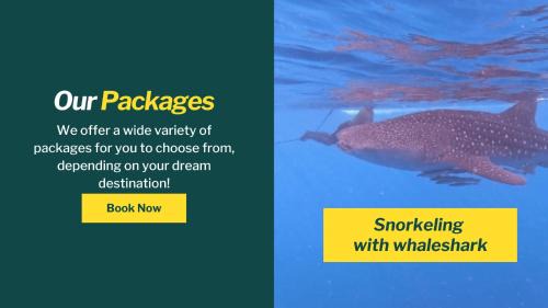 Sumbawa Besar Other | Whale shark private trip