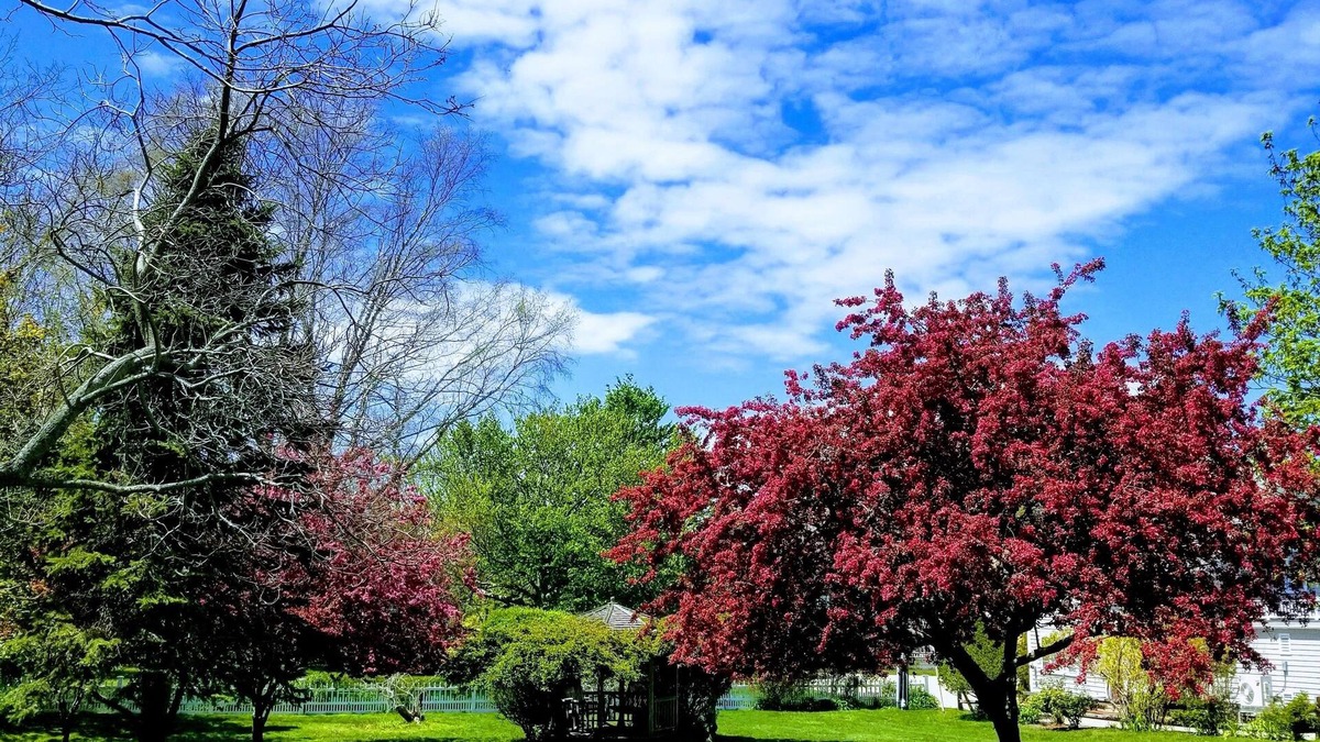 Eastham Bed & Breakfast | Whalewalk Inn and Spa