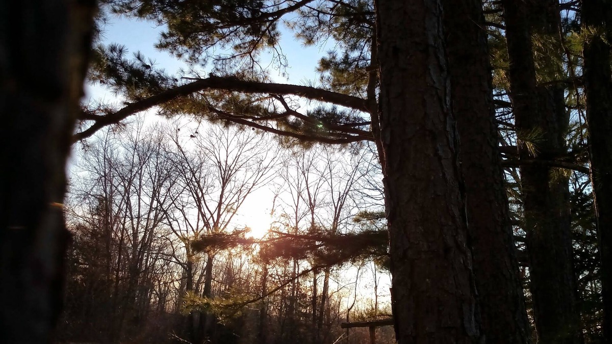 Hartville House | Whispering Pines in the Country on 40 Acres
