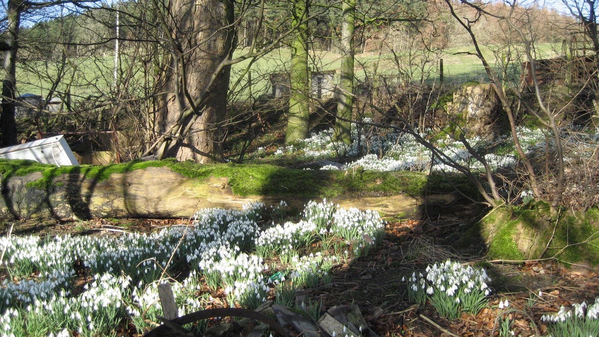 Hawick House | Whitchester Christian Guest House