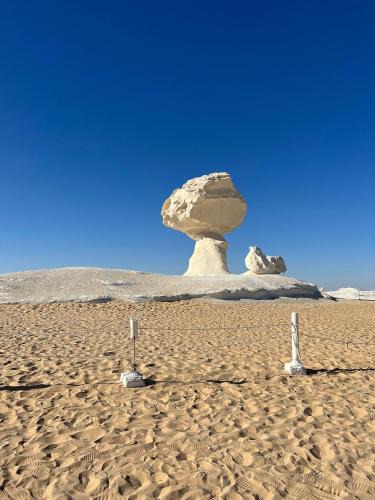 Bawati Other | White Desert Safari With Camping