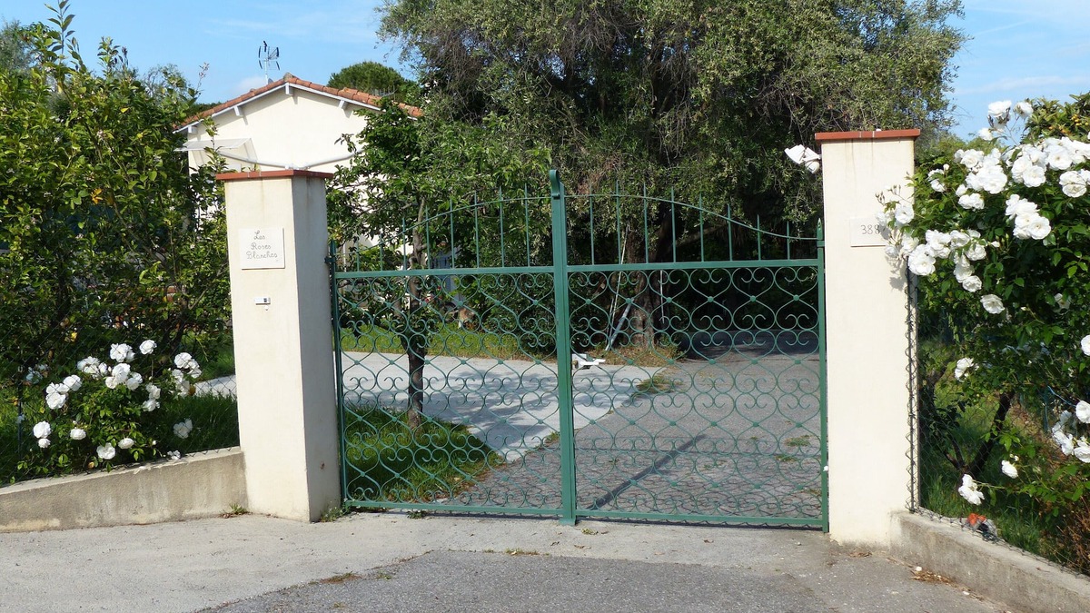 Mougins House | White roses CANNES MOUGINS
