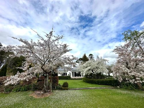 Invercargill Bed & Breakfast | Whiteacres