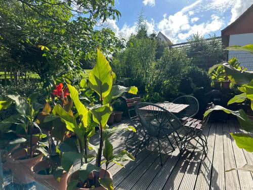 Bornhausen Apartment | Wiehler- Ferienwohnung