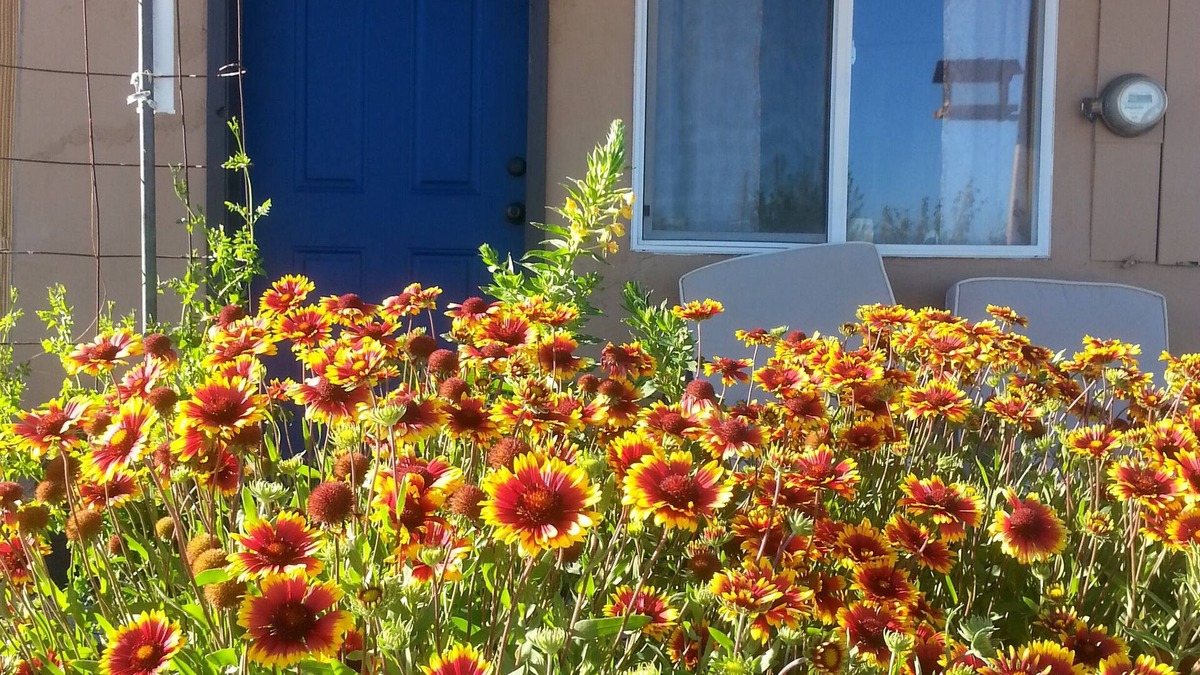 Dyer Apartment | Wild Creek BnB, " Cottage "