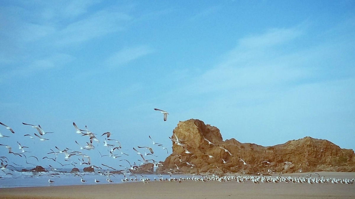 Vale Furado Villa | WILD DROP surfcamp/Hostel