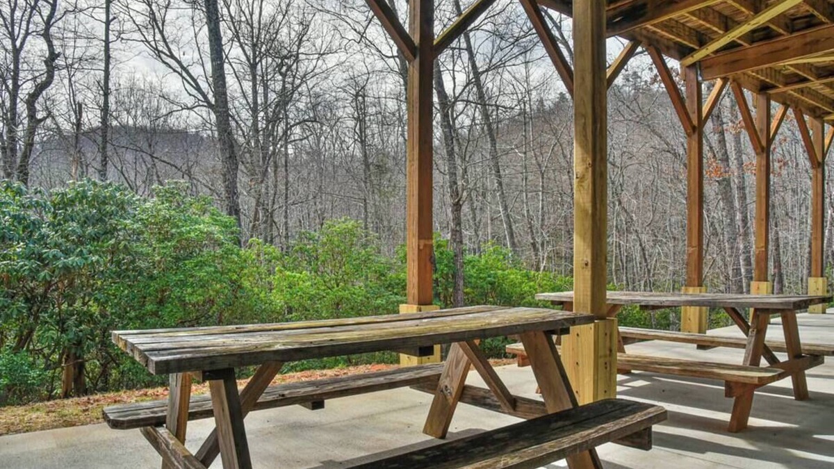 Black Mountain House | Wildcat Lodge: 5BR/5.5Bath All Ensuite Mt. Log