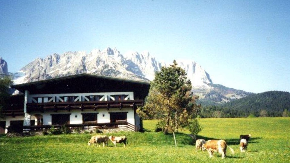 Going am Wilden Kaiser Apartment | Wilder Kaiser or Kitzbüheler Horn double room with shower/WC - Pension Sunnbichl