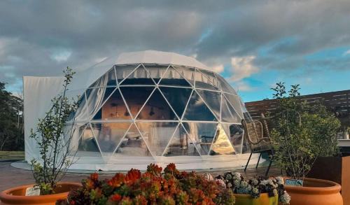 Gowrie Park Ski Chalet | Wilder Tasmania