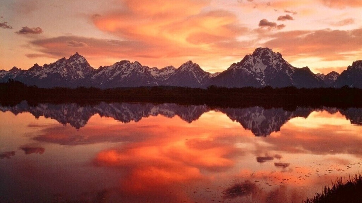 Moose Wilson Road Condo | Wildlife, Tram&Mountain Views, Creek, GTNP & Yellowstone, Free Bikes