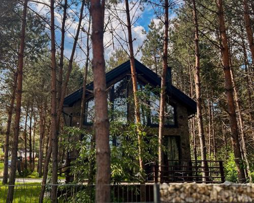 Rakow Villa | WILLA LABA CHAŃCZA nad jeziorem, dom w lesie z opcją balii