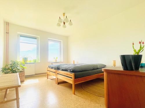 Zettemin Apartment | "Willkommen im Zetthaus" Welcome! Witamy! Vitejte! - Familienfreundliche Ferienwohnungen in der Mecklenburger Seenplatte