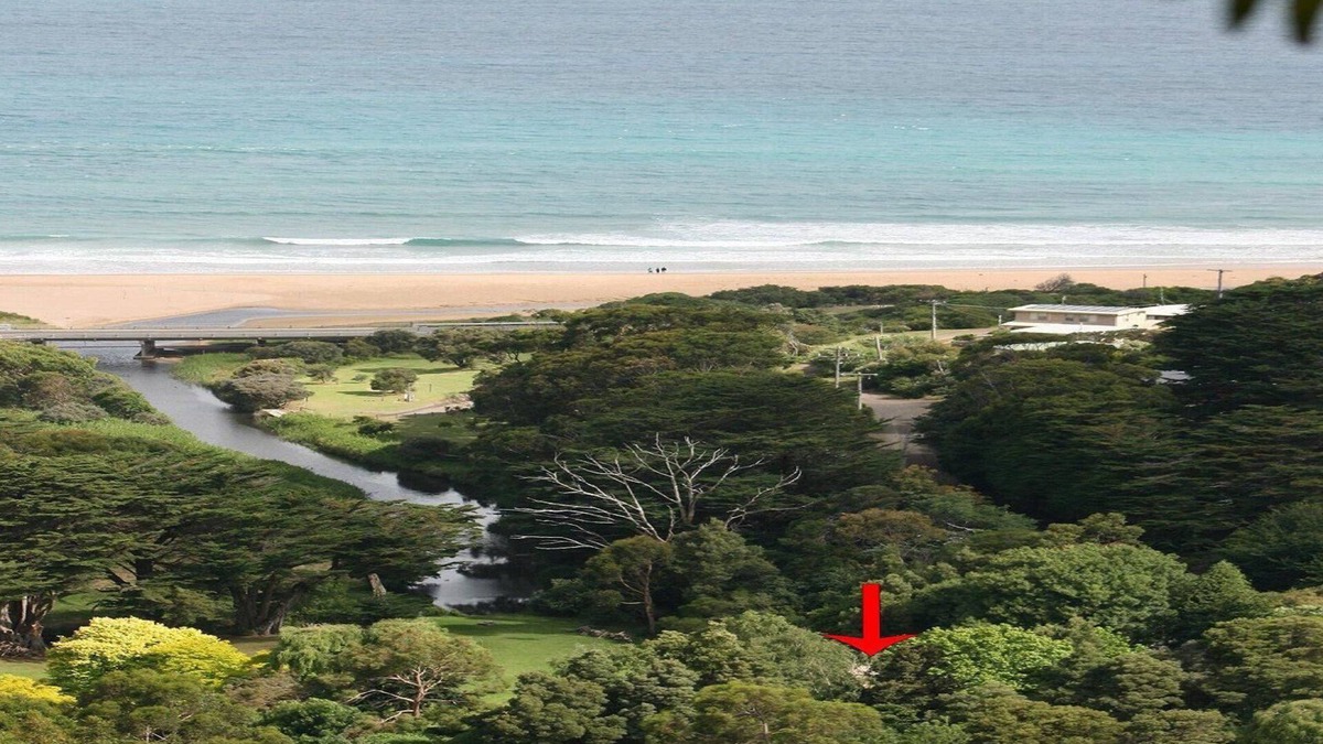 Skenes Creek House | Willowhaven - Rustic & Vintage