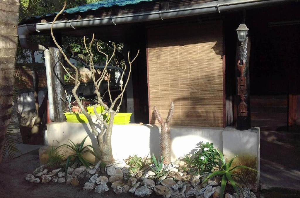 Taolagnaro House | WIN