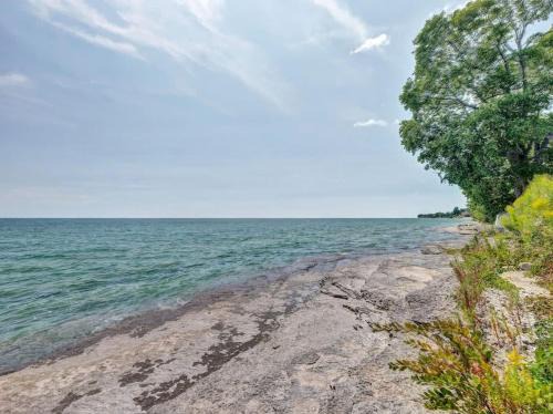 Wellington House | Wind & Waves - Wellington waterfront with Satellite TV & fire pit
