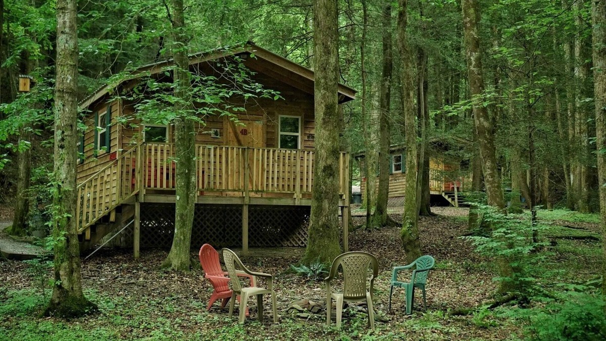 Ellijay Cabin | With a king sized bed BEAR'S LAIR gives comfort of home plus an outdoorsy vibe!