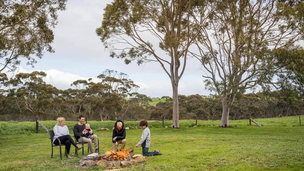Seddon Other | Wittows Creek - fantastic family farm stay