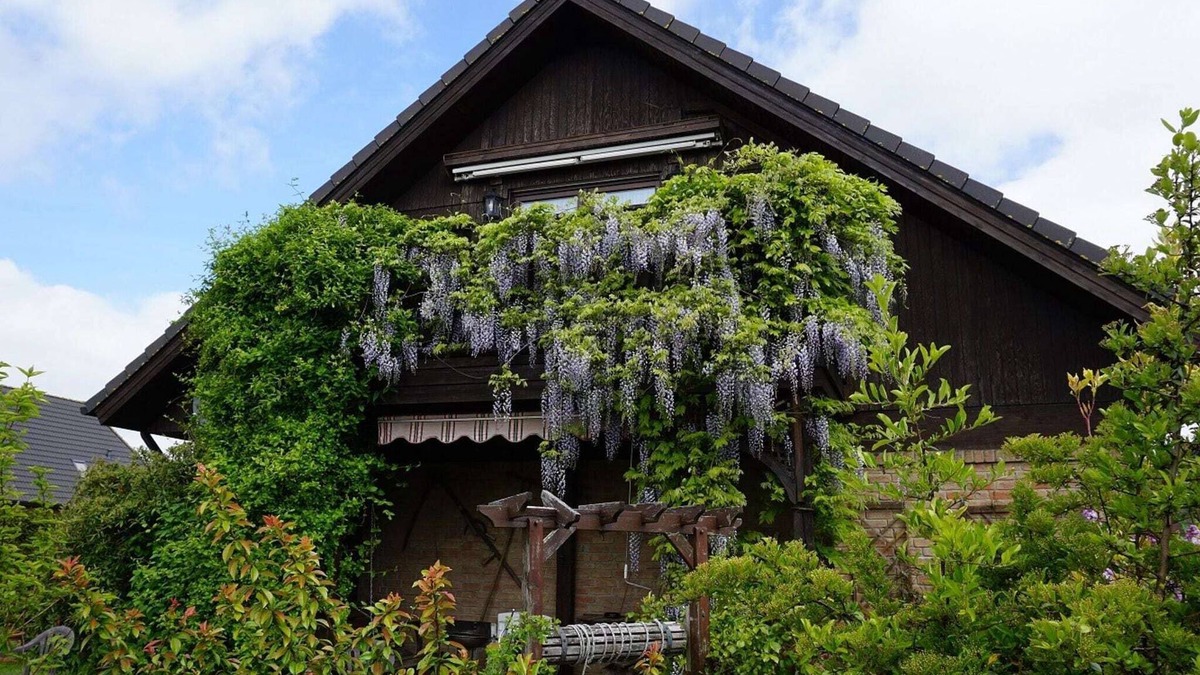 Wendorf Apartment | Wohnung an der Ostseeküste