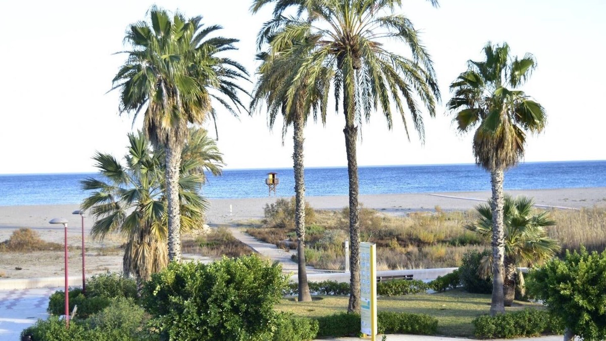 Puerto Rey Apartment | Wonderful beach apartment-botanical garden