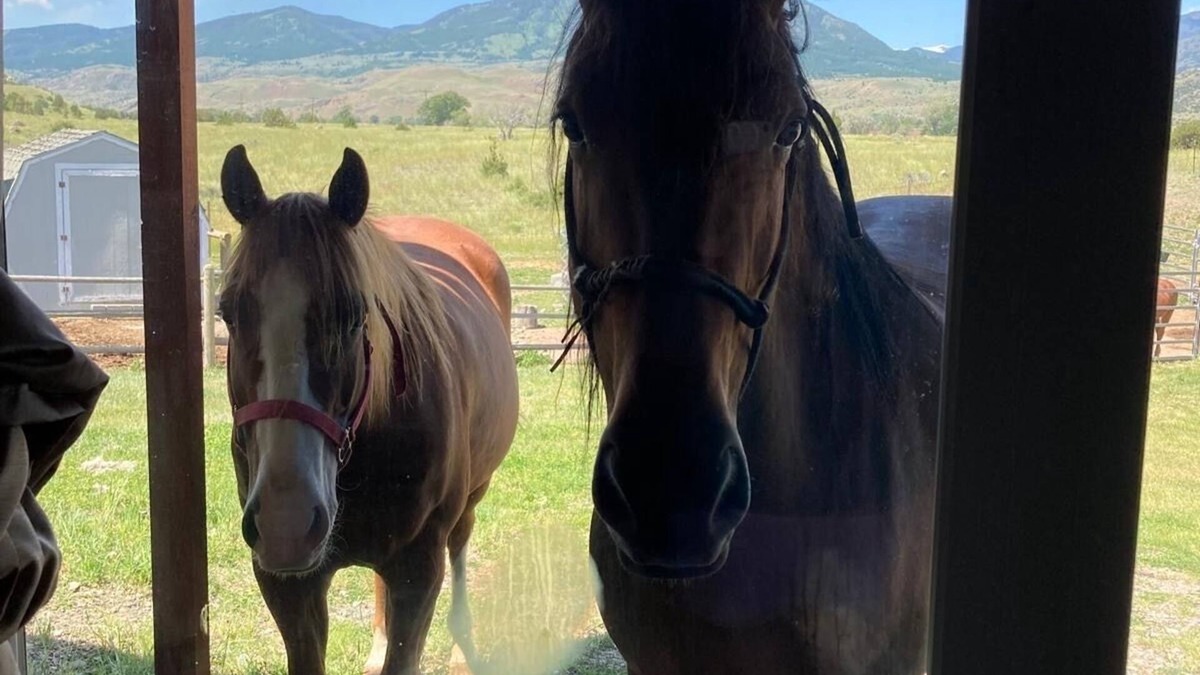Pray House | Wonderful Montana experience with great views and horses! Yellowstone 25mi