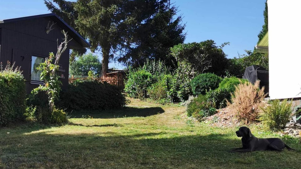 Woldert House | Wonderful view, fireplace, wellness hut, fenced garden, garden pond