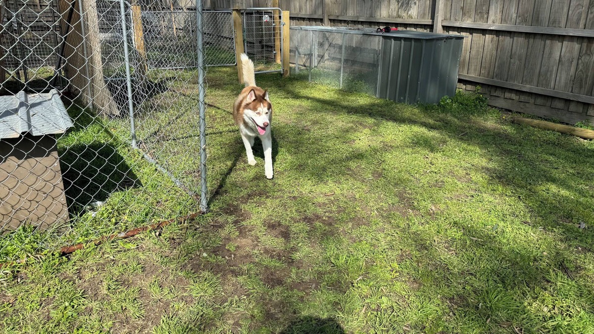 Warrenheip Hotel | Woodmans Hill Motel