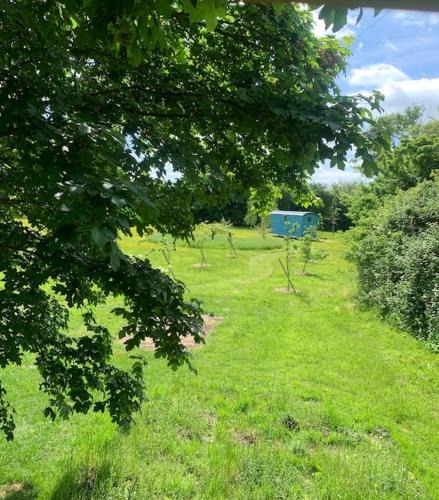 Newmarket Apartment | Woodpecker Shepherd Hut with private facilities Newmarket CB8