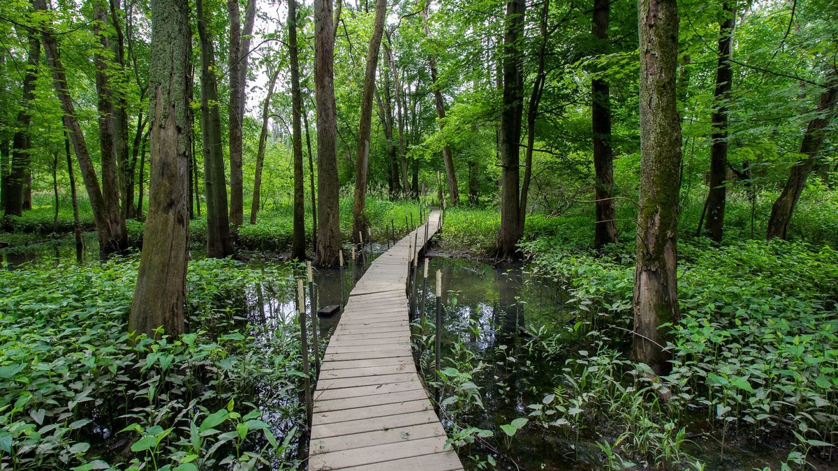 Chesterton House | Woodsy Retreat w/River Near Dunes - ADA Friendly