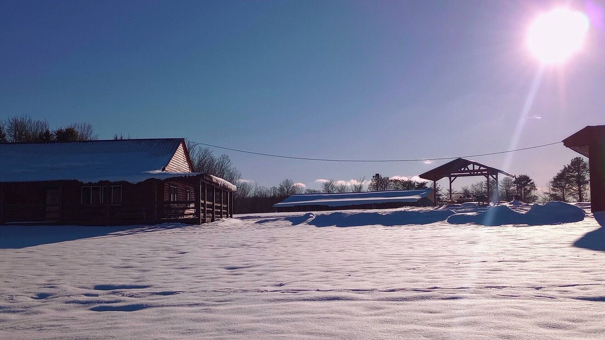 Gerry Cabin | Woodys Retreat this rental includes the barn outdoor covered fire pit