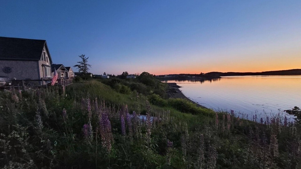 Lubec Cottage | World’s highest tides! Pet friendly, bay front cottage with huge fenced yard.