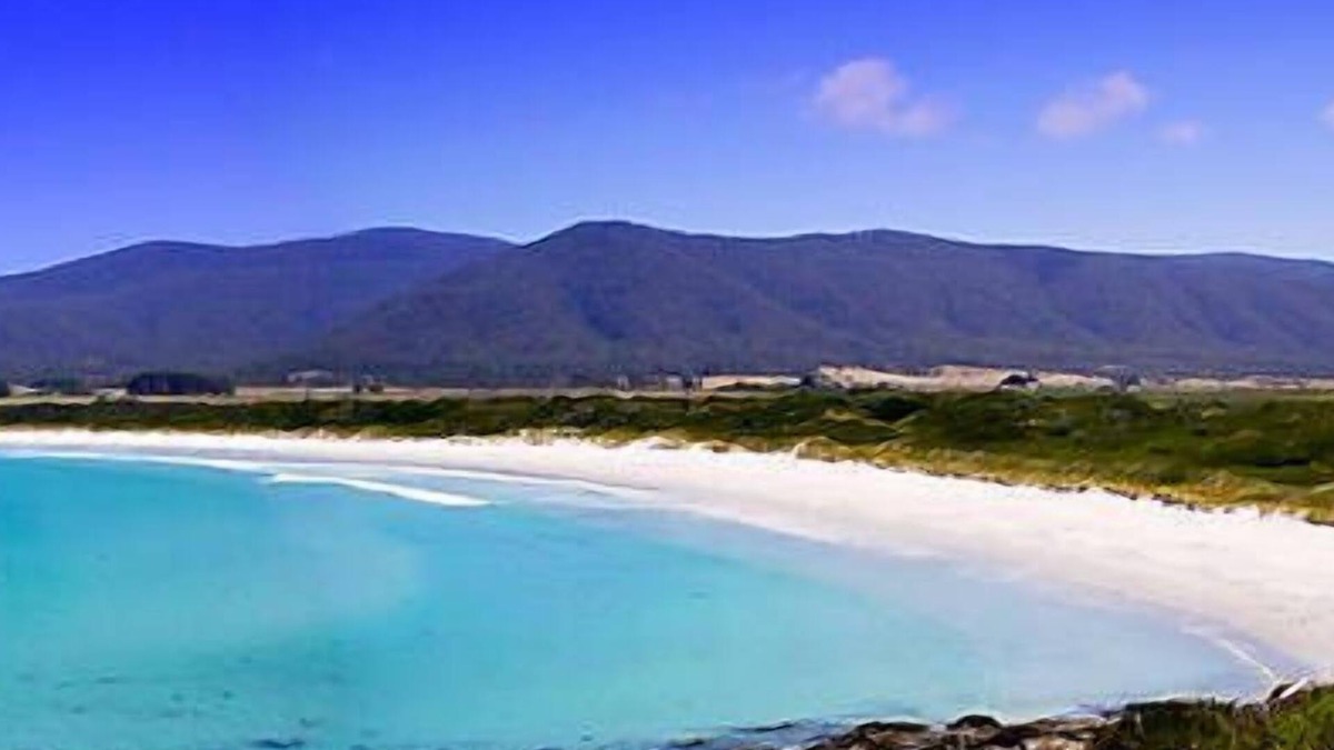 Seymour Cabin | WOW! No better location.nBeachfront, private & tranquil. Unwind and reconnect.