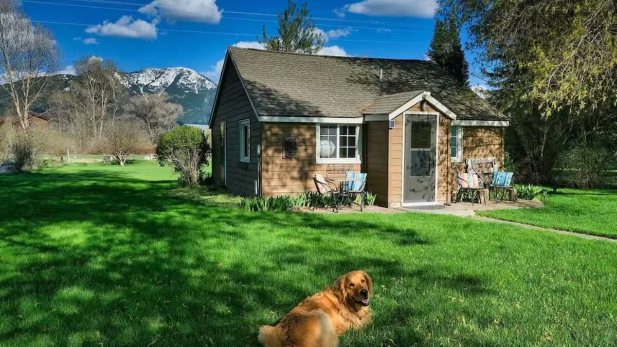 Swan Valley Apartment | Wrangler 2 bedroom cozy cabin with hammock