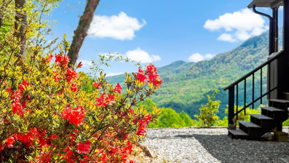Piney Mountain House | Writer's Block - Big View, Fire Pit, Great Getaway