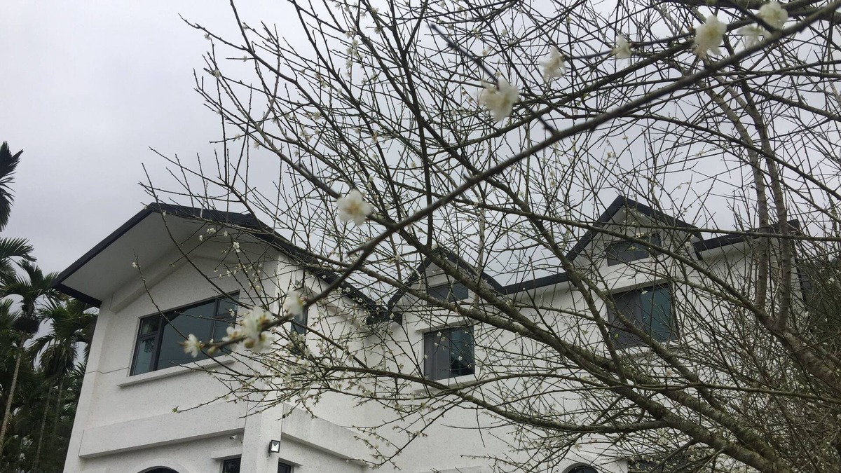 Hualien Bed & Breakfast | Wuju Wusu B&B