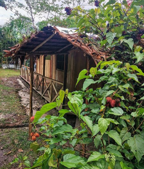 Padre Cocha House | YAKU lodge & camping