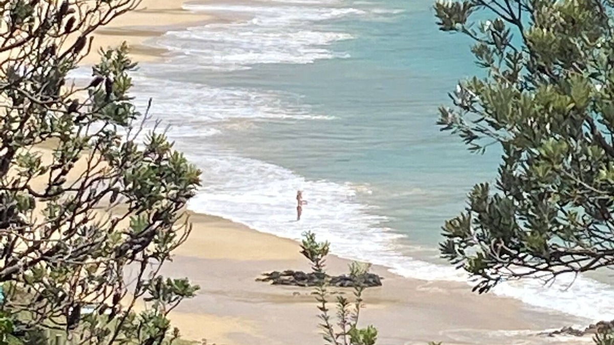 North Coast House | Yallumbee, Seal Rocks - Modern, Private Beach House In Prime Location