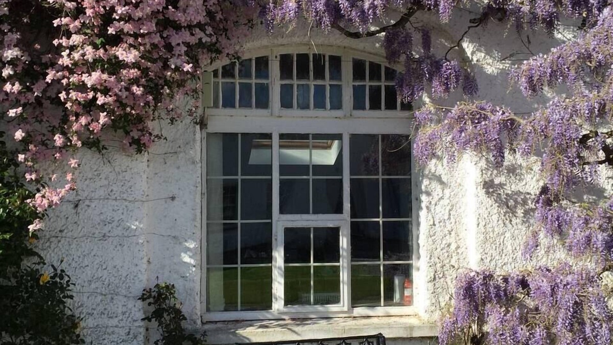 Cappoquin Apartment | Yard Flat