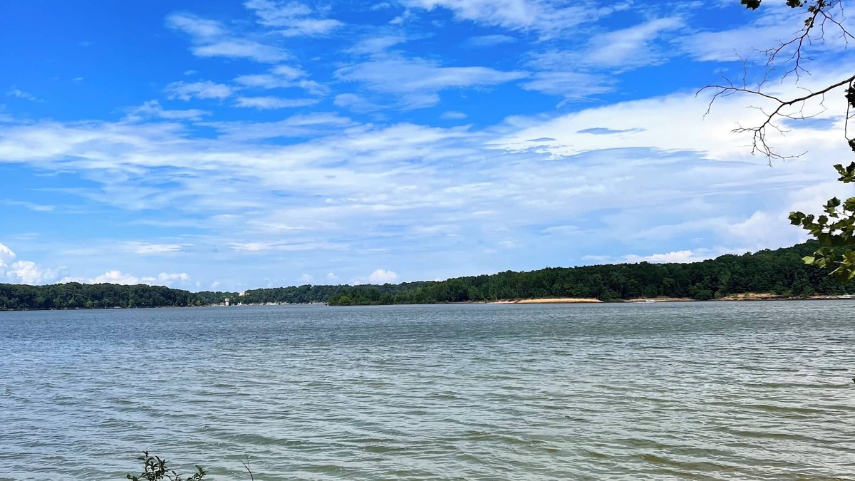 Scottsville Cabin | Year-Round Lake Views and Direct Lake Access just steps away.