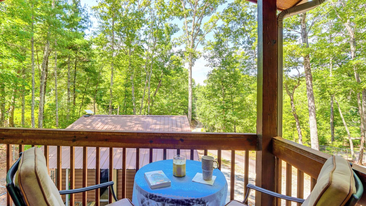 Murphy Cabin | Year-Round Mtn View: Pet-Friendly Murphy Retreat