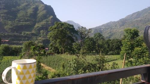 Rajgarh House | Yellow Valley Homestay